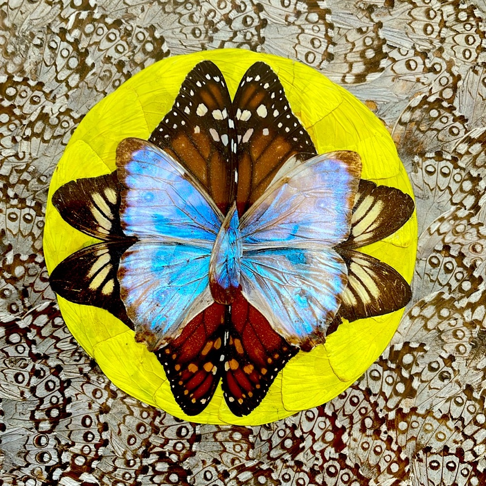 VINTAGE BUTTERFLY WINGS WOOD INLAY TRAY BLUE MORPHO BUTTERFLY